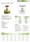 ARITA Globe Valve - โกลบวาล์วทองเหลือง