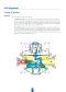 Fisher B Series | Pressure Reducing Regulator
