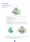 Fisher B Series | Pressure Reducing Regulator