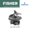 Fisher Types 1808 and 1808A Relief Valve