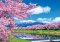 ทัวร์ญี่ปุ่น-โตเกียว