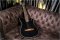 Ibanez TOD10N Tim Henson Signature