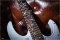 Ibanez Jem jr Steve Vai Signature