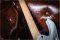 Ibanez Jem jr Steve Vai Signature