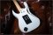 Ibanez Jem jr Steve Vai Signature