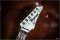 Ibanez Jem jr Steve Vai Signature