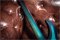 Sterling by Music Man John Petrucci Majesty Maj100
