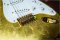 Fender Masterbuilt Eric Clapton Signature GoldLeaf Todd Krause 2004 Limited Run 50 Made