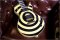 Wylde Audio Odin Bullseye