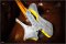 Pearson Omega Wasp Yellow / Chrome Hardware