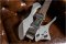 Pearson Omega Metallic Silver  / Chrome Hardware