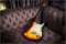 Fender Masterbuilt Dennis Galuszka Re"60 Relic Brazilian Rosewood Limited Release