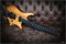Strandberg Boden Prog NX 6 PLINI Edition
