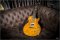 Gibson Slash Signature Appetite Burst