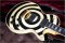 Gibson Custom Shop Zakk Wylde Bullseye