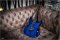 Ibanez Js1000 BTB Joe Satriani Signature