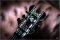 Schecter Synyster Custom Sustainiac