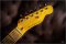 Nash T-52 Custom HumNeck Extra Aged New