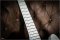 Fender Silent Siren Telecaster