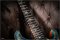 Prs Modern Eagle One 20th Anniversary Brazilian Rosewood