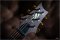 Prs Modern Eagle One 20th Anniversary Brazilian Rosewood