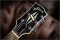 Gibson Custom Zakk Wylde Siignature Vertigo