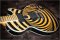 Gibson Custom Zakk Wylde Siignature Vertigo