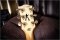 Gibson Custom Shop Zakk Wylde Signature Bullseyes