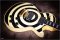 Gibson Custom Shop Zakk Wylde Signature Bullseyes