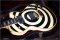Gibson Custom Shop Zakk Wylde Siignature Bullseye