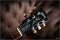 Gibson Lespaul Standard