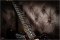 Fender Classic Player Jaguar Special HH
