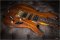 Ibanez S470 Japan