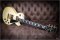 Gibson Lespaul Custom Alpine White
