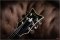 Schecter Corsair