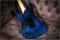 Ibanez RG685 Japan