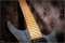 Strandberg Boden Standard NX 7 Tremolo