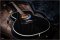 Takamine planet earth crescent limited Edition