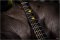 Takamine planet earth crescent limited Edition