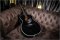Takamine planet earth crescent limited Edition