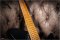 Strandberg Salen CK Stealth Limited Edition