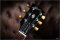 Gibson SG'61 Jeff Tweedy Signature Limited Run 175 Made.