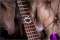 Fender Final Fantasy XIV Limited Edition