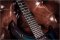Music Man John Petrucci Majesty, Arctic Dream
