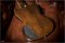 Gibson SG Robot Walnut Burst 2015