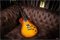 Prs Sc245 Artist Package Brazilian Rosewood Fretboard