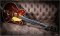 Gretsch G6122TG Players Edition Country Gentleman Walnut.