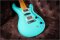 Prs Swamp Ash Special