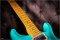 Prs Swamp Ash Special