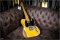 Nash T-52 Custom Extra Aged New